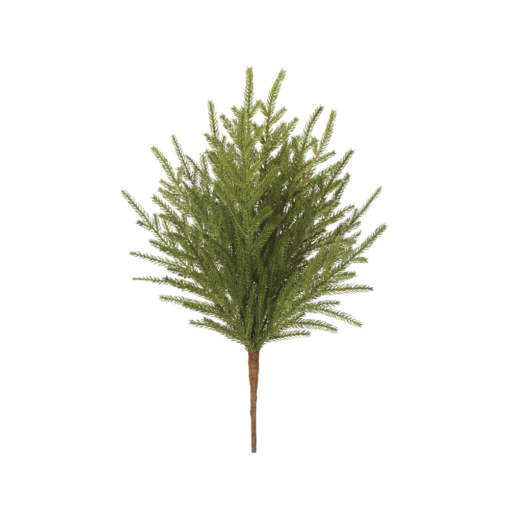 Cypress Spray