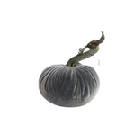 Platinum Velvet Pumpkin