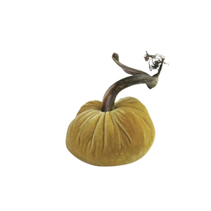 Butter Velvet Pumpkin