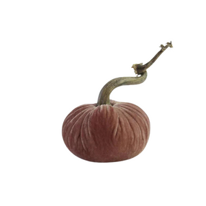 Blush Velvet Pumpkin