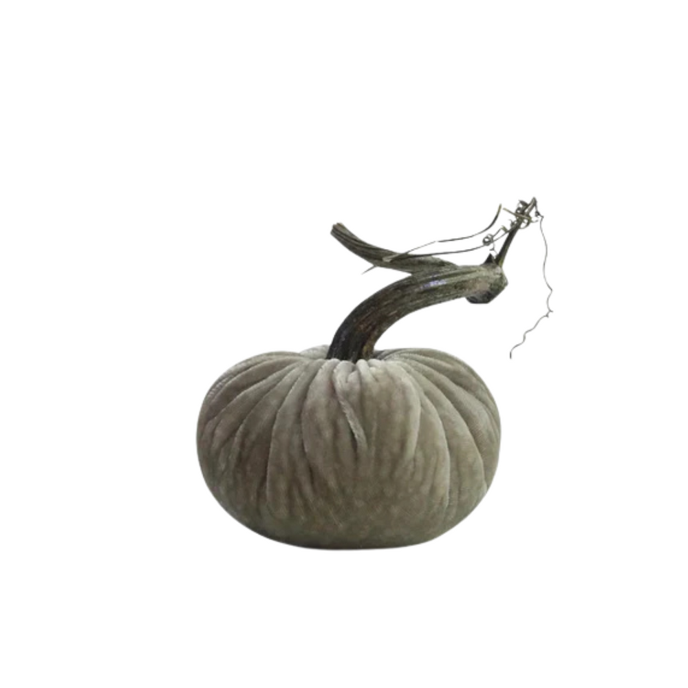 Putty Velvet Pumpkin