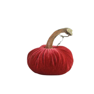 Coral Velvet Pumpkin