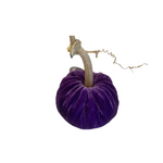 Violet Velvet Pumpkin